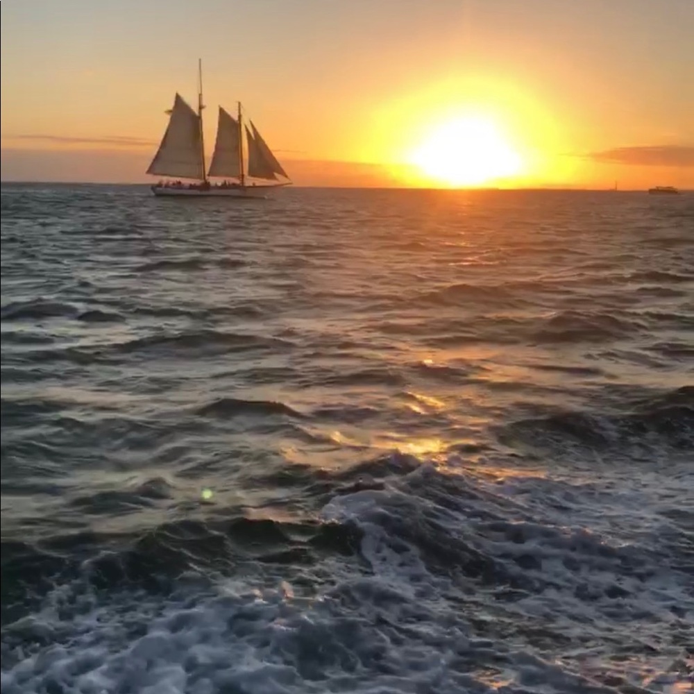 Meet your Posher, Laurieann